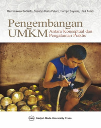 Image of Pengembangan UMKM Antara Konseptual dan Pengalaman Praktis
