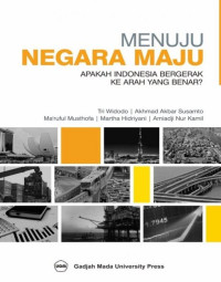 Image of Menuju Negara Maju: Apakah Indonesia Bergerak Ke Arah Yang Benar